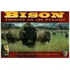 Bison: Thunder on the Prairie