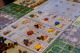 1814127 Caverna: Die Höhlenbauern