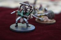 1486230 Die GulliPiratten: Der Schrecken der Kanalisation