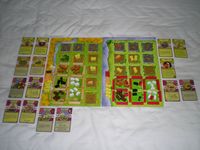 Agricola: World Championship Deck – 2011, Board Game