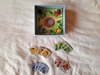 7536858 Diego Dent de Dragon: Compétition volcanique !