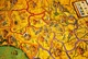 1127589 Warriors & Traders