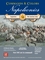 1811591 Commands & Colors: Napoleonics Expansion #3: The Austrian Army