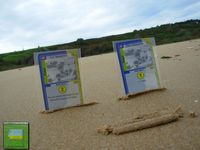 250159 Lightning: D-Day