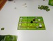 1273794 Keltis: Das Würfelspiel