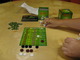1421244 Keltis: Das Würfelspiel
