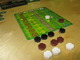 1421248 Keltis: Das Würfelspiel