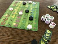 3942044 Keltis: Das Würfelspiel