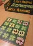 6238418 Lucky Numbers (EDIZIONE INGLESE)