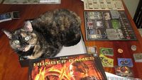 1314007 The Hunger Games: District 12 Strategy Game