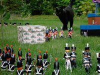 2731696 Little Wars - Anniversary Edition