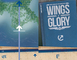 1099575 Wings Of Glory WW2: Reggiane RE.2001 Falco II (Metellini)