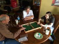 2014813 Passe -Trappe Medio (60 x 38 cm) 