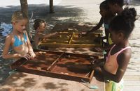 371342 Passe -Trappe Medio (60 x 38 cm) 