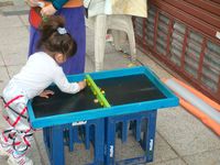 989552 Passe -Trappe Medio (60 x 38 cm) 