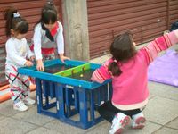 989582 Passe -Trappe Medio (60 x 38 cm) 