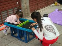 989583 Passe -Trappe Medio (60 x 38 cm) 