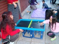 989590 Passe -Trappe Medio (60 x 38 cm) 