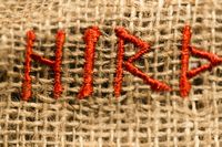 2769809 HIRÞ: The Viking Game of Royal Conflict