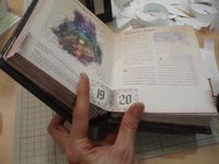 1337677 Serpent's Tongue