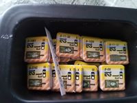 4902283 Fortress Berlin