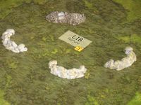1330867 Sergeants Miniatures Game: Hasty Positions Normandy Expansion
