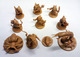 1319228 Mice and Mystics (Edizione Asmodee)