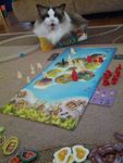 1527268 Catan: Junior