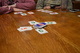 2808557 Skip-Bo