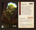 1390201 Storm Hollow: A Storyboard Game - Edizione Kickstarter Riftwalker Redux + Story Souvenirs