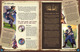 1429190 Storm Hollow: A Storyboard Game - Edizione Kickstarter Riftwalker Redux + Story Souvenirs
