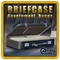 1364088 Briefcase: Government Bonus