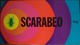 291993 Scarabeo