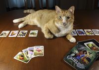 6481566 Cardline: Animals 