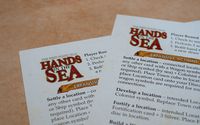 3551560 Hands in the Sea