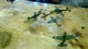 1726592 Axis & Allies Air Force Miniatures: Bandits High Starter