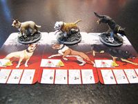 1837979 Zombicide Box of Dogs Set #6: Dog Companions