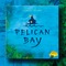 1617398 Pelican Bay