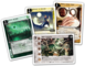 1629649 Call of Cthulhu: The Card Game - Terror in Venice
