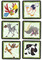 2533003 Jungle Safari