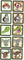 2533004 Jungle Safari
