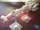 2029273 Star Wars: X-Wing Miniatures Game - Tantive IV Expansion Pack