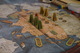 1818558 Wildcatters