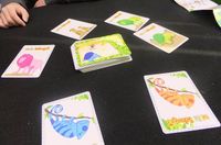 1823850 Colorful Serengeti