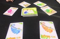 1823851 Colorful Serengeti