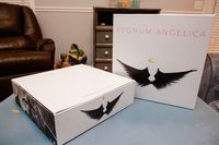 2066192 Regnum Angelica 