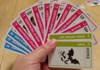 5595591 Monster Fluxx