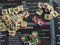 2564492 Tiger Leader (Second Edition)