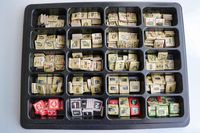 4124558 Tiger Leader (Second Edition)