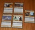 2064092 Pathfinder Adventure Card Game - I Pinnacoli di Xin-Shalast